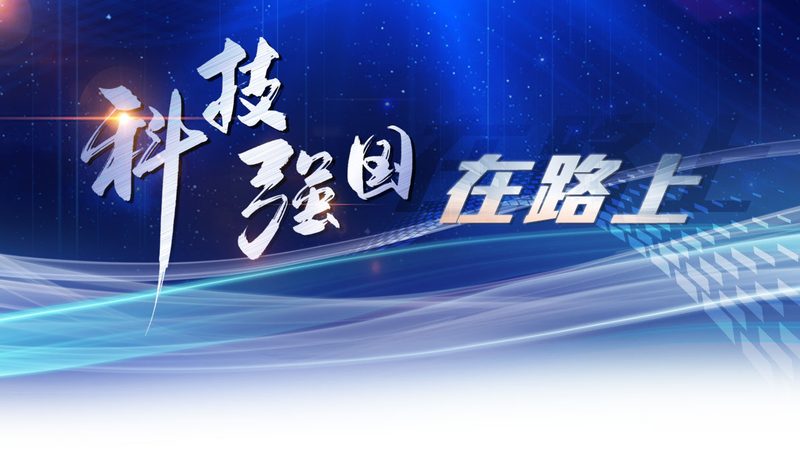 数据可视化：揭秘上海数据可视化服务公司的核心价值