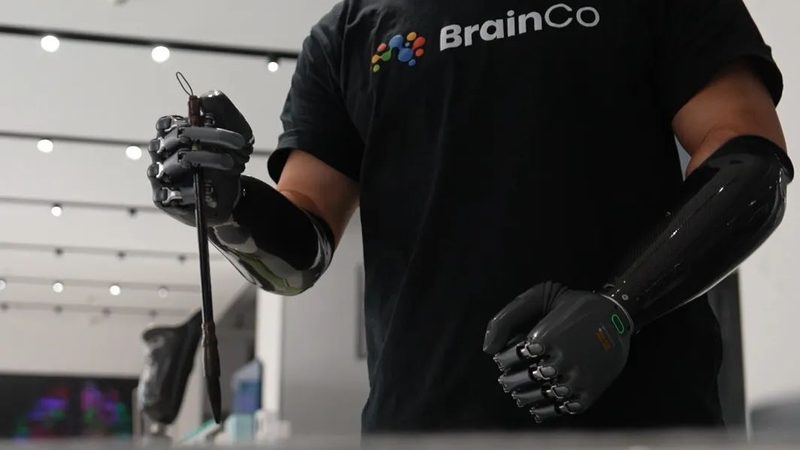 软件测试报告模板生成：关键要素与最佳实践